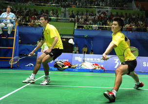高清组图 羽毛球男团决赛中国3 1韩国成功卫冕